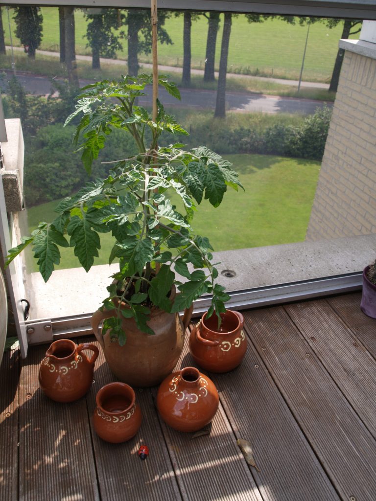 Potten, atelier thuis, gedraaid, gedecoreerd en transparant geglazuurd op 1060º C