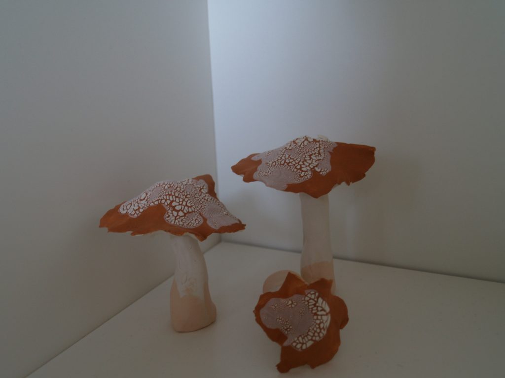 Paddenstoelen. Atelier thuis. Handvormen, geglazuurd, derde stook decoraties aangebracht1060