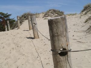 Grote weergave