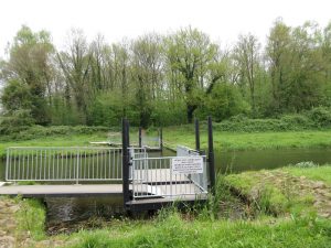 Grote weergave
