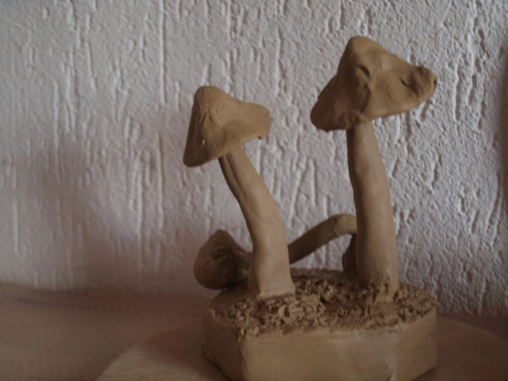 Paddenstoelen, witte klei grove chamotte.
