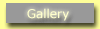 Gallery poppen