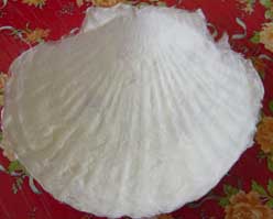 Shell