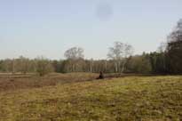 Vasser heide