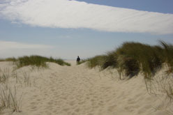 In de duinen