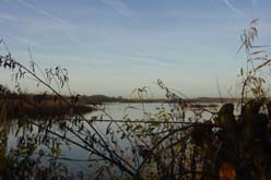 Ankeveense plassen