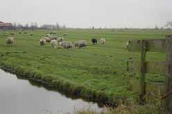 Veenpolders