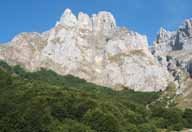 Picos de Europa