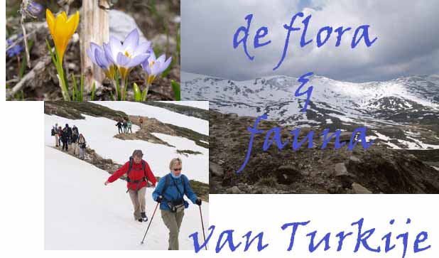 Defora en fauna van Turkije