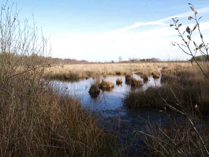 veenplassen