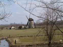 Molen