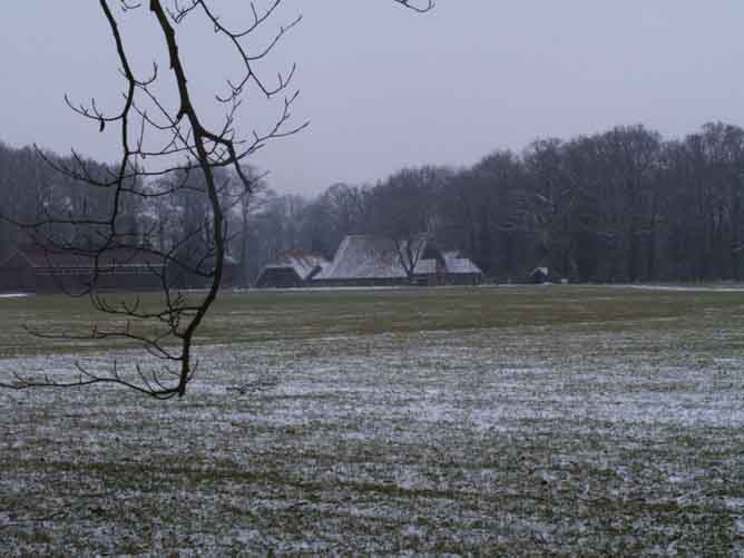 het Wolink