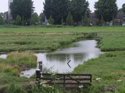 Polder landschap