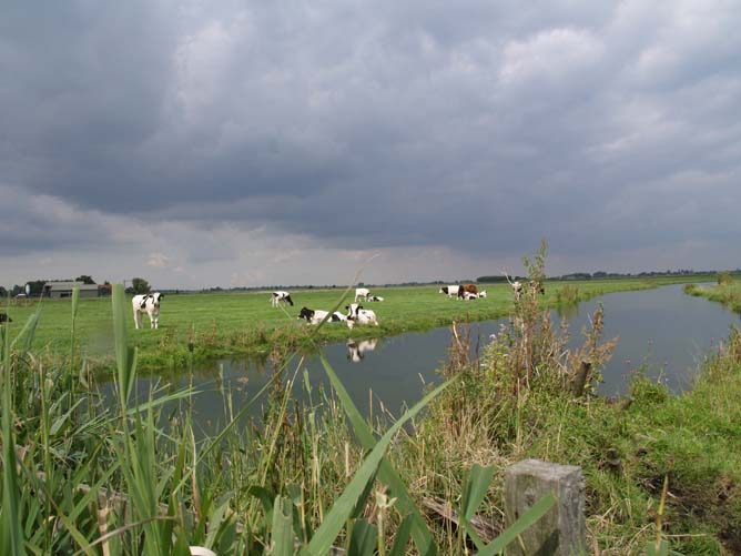 Polderlandschap