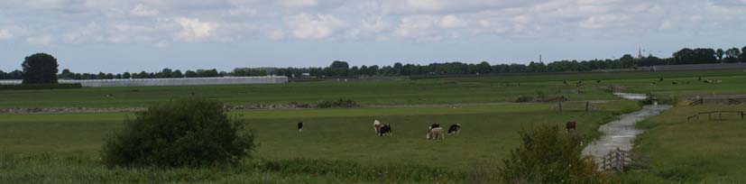 De Polder