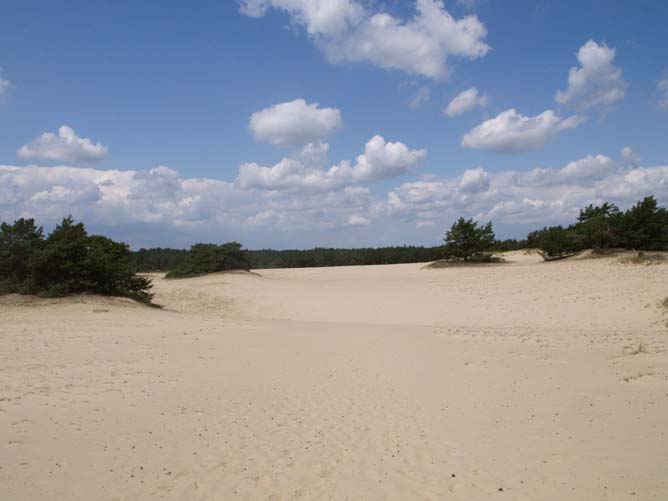 Hulshorsterzand