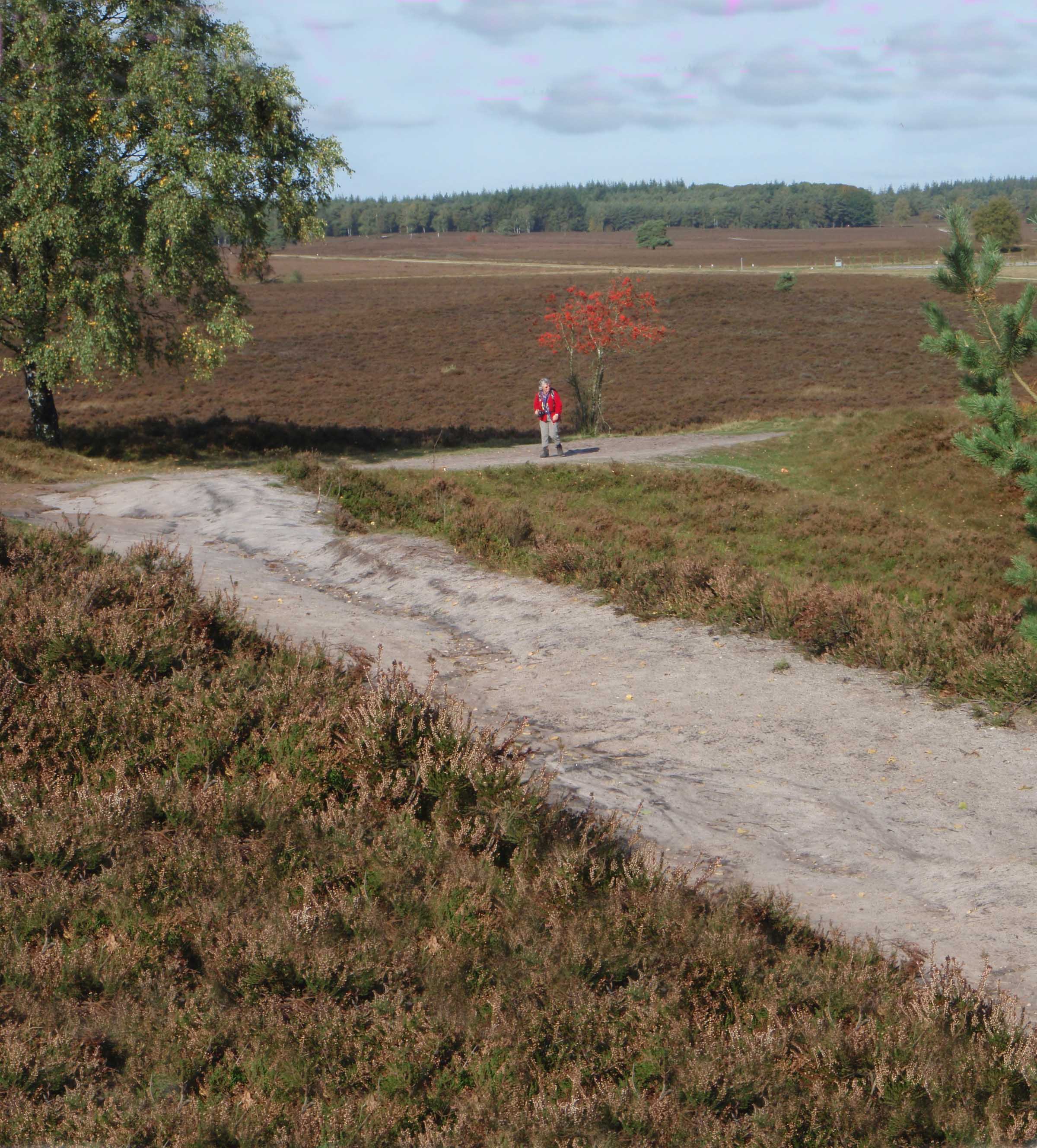 wandelen-achtergrond